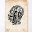 Laden Sie das Bild in den Galerie-Viewer, Brain sections anatomy poster