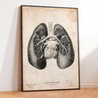 Laden Sie das Bild in den Galerie-Viewer, Lungs anatomy poster