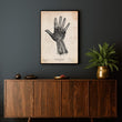 Laden Sie das Bild in den Galerie-Viewer, Hand anatomy chart by Codex Anatomicus