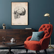 Load image into Gallery viewer, Skull anatomy art