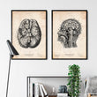 Laden Sie das Bild in den Galerie-Viewer, Neurology poster