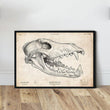 Laden Sie das Bild in den Galerie-Viewer, Wolf skull vintage art print by Codex Anatomicus