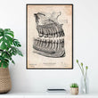 Laden Sie das Bild in den Galerie-Viewer, Vintage dental anatomy poster - Dental Anatomy - Codex Anatomicus