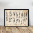 Laden Sie das Bild in den Galerie-Viewer, Teeth vintage anatomy chart in a frame by Codex Anatomicus