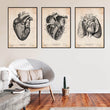 Charger l'image dans la galerie, Heart anatomy posters