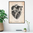 Charger l'image dans la galerie, Dissected heart anatomy poster