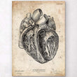 Charger l'image dans la galerie, Heart section art print