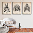 Load image into Gallery viewer, Anatomy poster