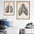 Load image into Gallery viewer, Anatomy art print