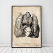Load image into Gallery viewer, Heart and Lungs vintage anatomy poster