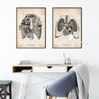 Load image into Gallery viewer, Anatomy art