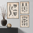 Load image into Gallery viewer, Chiropractic studio wall art