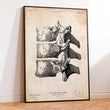 Charger l'image dans la galerie, Vertebrae anatomy poster