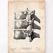 Charger l'image dans la galerie, Anatomy of the spine art print