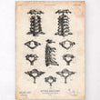 Laden Sie das Bild in den Galerie-Viewer, Spine anatomy art poster