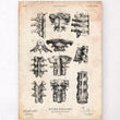 Laden Sie das Bild in den Galerie-Viewer, Spine anatomy poster