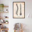 Laden Sie das Bild in den Galerie-Viewer, Wirbelsäule Anatomie Diagramm