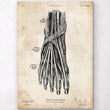 Laden Sie das Bild in den Galerie-Viewer, Foot anatomy poster