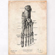 Laden Sie das Bild in den Galerie-Viewer, Foot anatomy print