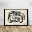 Load image into Gallery viewer, Pancreas, liver and gallbladder vintage anatomy poster