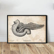 Laden Sie das Bild in den Galerie-Viewer, Pancreas anatomy art
