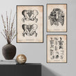 Laden Sie das Bild in den Galerie-Viewer, Anatomy art gallery wall