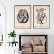 Laden Sie das Bild in den Galerie-Viewer, Anatomy art print