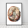Laden Sie das Bild in den Galerie-Viewer, Geometrical brain anatomy poster