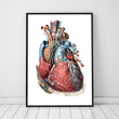 Laden Sie das Bild in den Galerie-Viewer, Geometrical heart anatomy poster