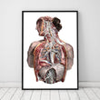 Load image into Gallery viewer, Geometrical human anatomy art