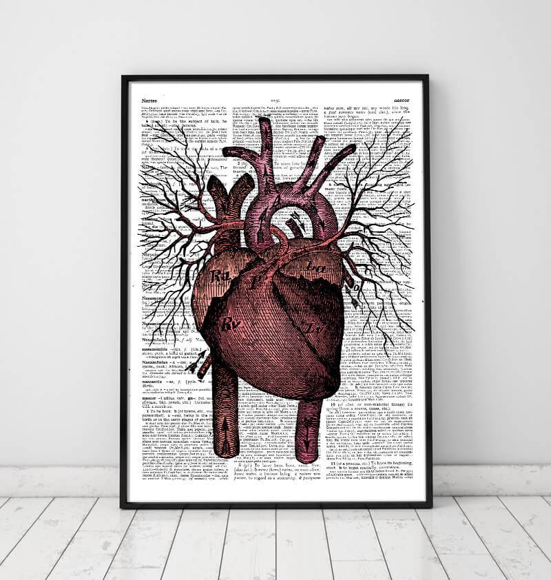 Heart anatomy dictionary art print – Codex Anatomicus