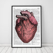 Load image into Gallery viewer, Heart anatomy dictionary art print