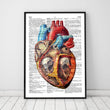 Laden Sie das Bild in den Galerie-Viewer, Heart anatomy art