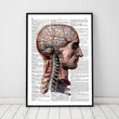 Laden Sie das Bild in den Galerie-Viewer, Head and brain dictionary art print