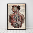 Laden Sie das Bild in den Galerie-Viewer, Human anatomy dictionary art print