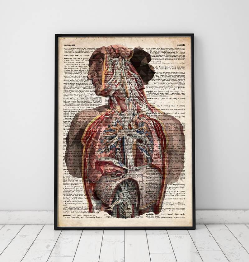 Human Anatomy Dictionary Art Print Codex Anatomicus 3043