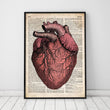 Laden Sie das Bild in den Galerie-Viewer, Heart anatomy dictionary art print
