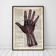 Laden Sie das Bild in den Galerie-Viewer, Hand anatomy dictionary art print