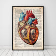 Laden Sie das Bild in den Galerie-Viewer, Geometric heart anatomy - Old dictionary page