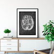 Laden Sie das Bild in den Galerie-Viewer, Brain anatomy poster