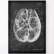Laden Sie das Bild in den Galerie-Viewer, Brain anatomy art