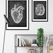 Laden Sie das Bild in den Galerie-Viewer, Heart anatomy art poster