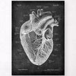 Laden Sie das Bild in den Galerie-Viewer, Anatomical heart print
