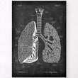 Load image into Gallery viewer, Lungs anatomy art