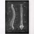 Load image into Gallery viewer, Spine anatomy poster