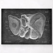 Load image into Gallery viewer, Liver anatomy poster