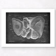 Load image into Gallery viewer, Liver anatomy - Chalkboard