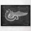 Load image into Gallery viewer, Pancreas anatomy poster