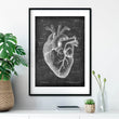 Laden Sie das Bild in den Galerie-Viewer, Heart anatomy drawing on chalkboard texture