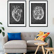 Laden Sie das Bild in den Galerie-Viewer, Anatomy posters